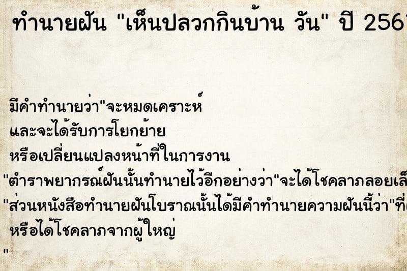 ทำนายฝันทำนายฝันเห็นปลวกกินบ้านวัน